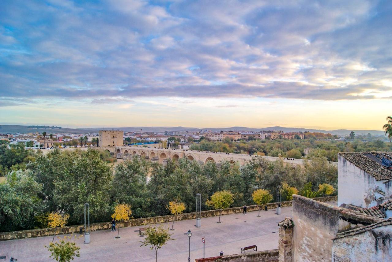 Appartement Newmezquita1 Magnificas Vistas A Mezquita Catedral
